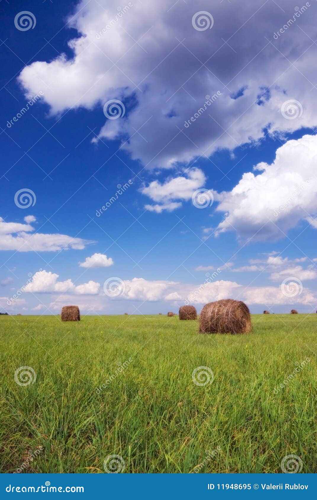 Straw bales stock image. Image of grass, farming, growing 11948695