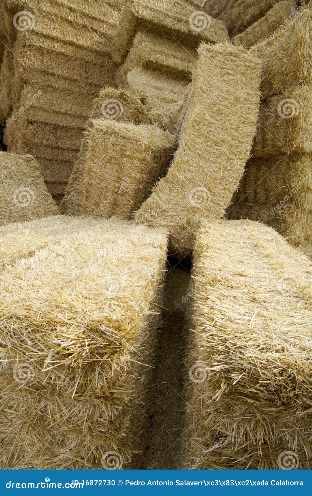 Straw bales stock photo. Image of harvest, golden, grow 16872730