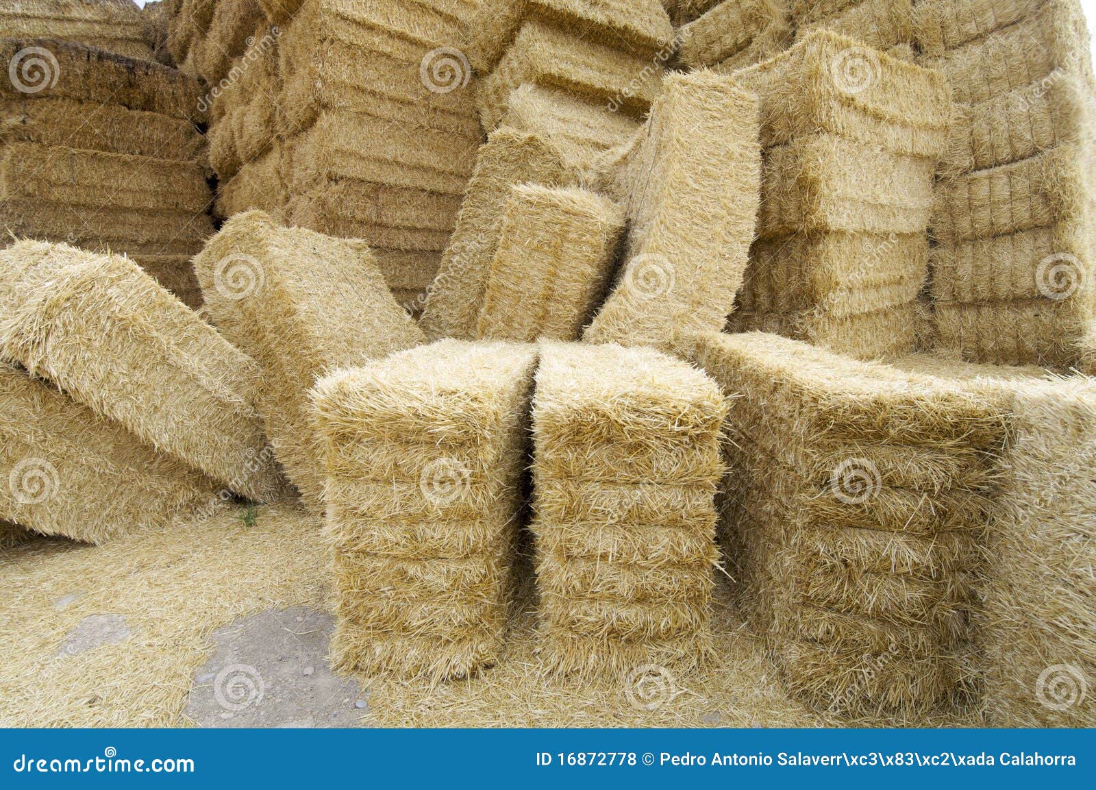 Straw bales stock photo. Image of gold, copy, horizontal 16872778