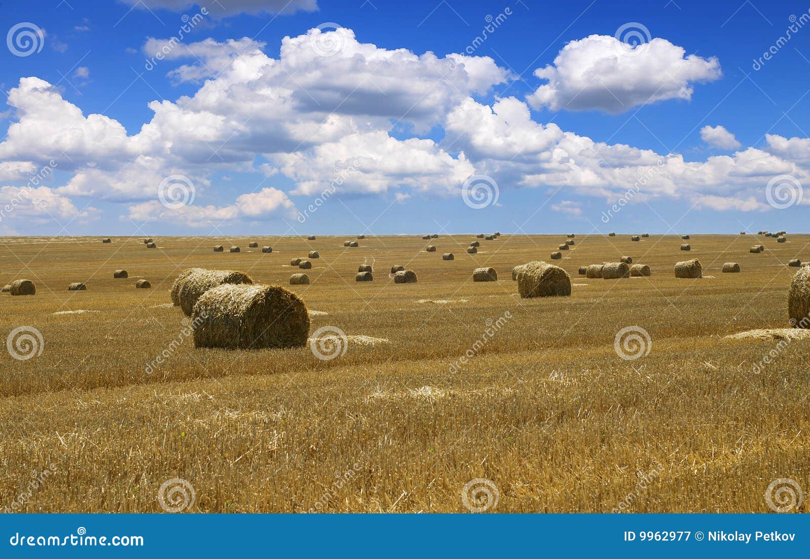 Straw bales stock image. Image of grain, land, gold, agriculture 9962977