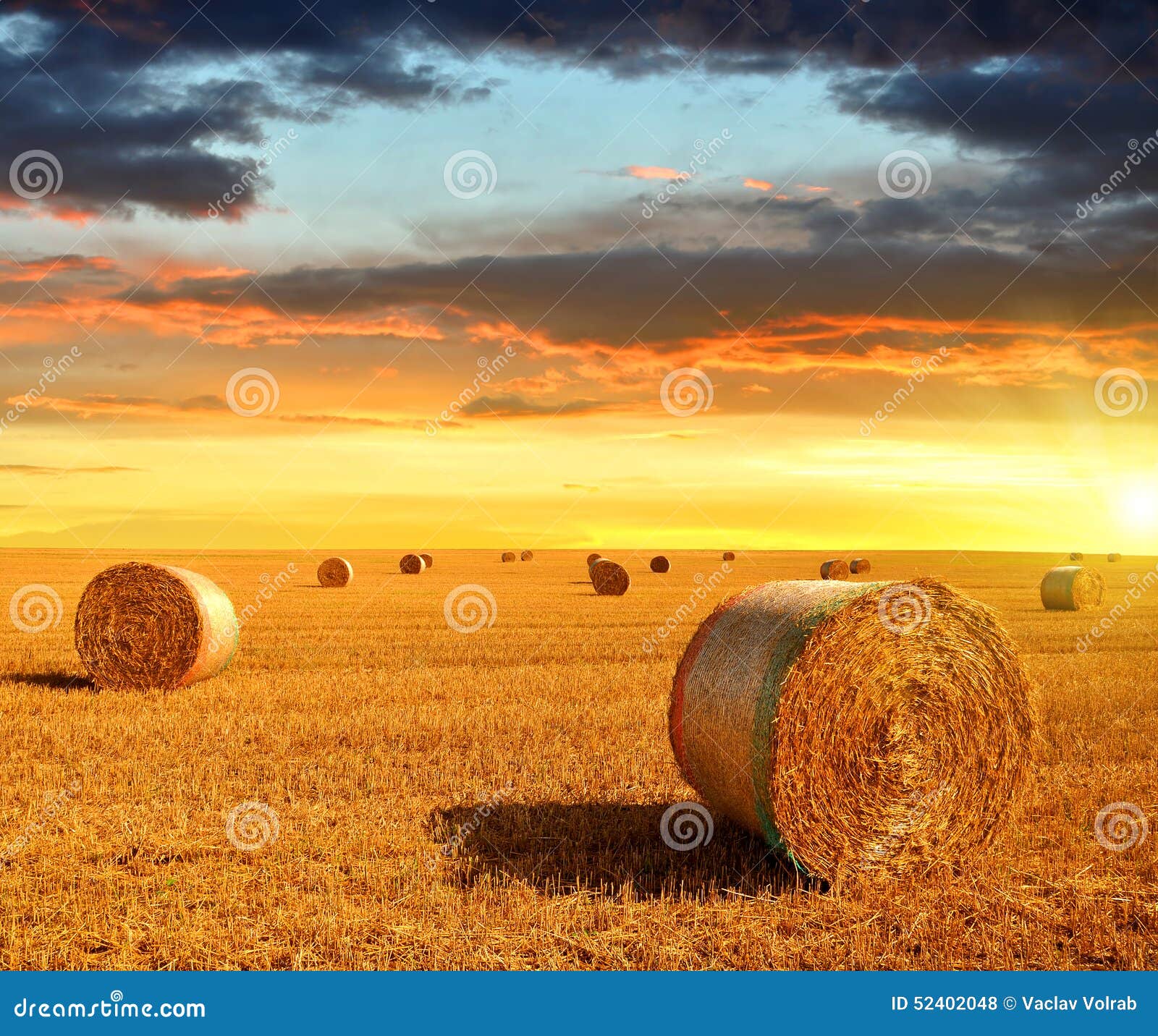 Straw bales stock photo. Image of field, heap, growing 52402048