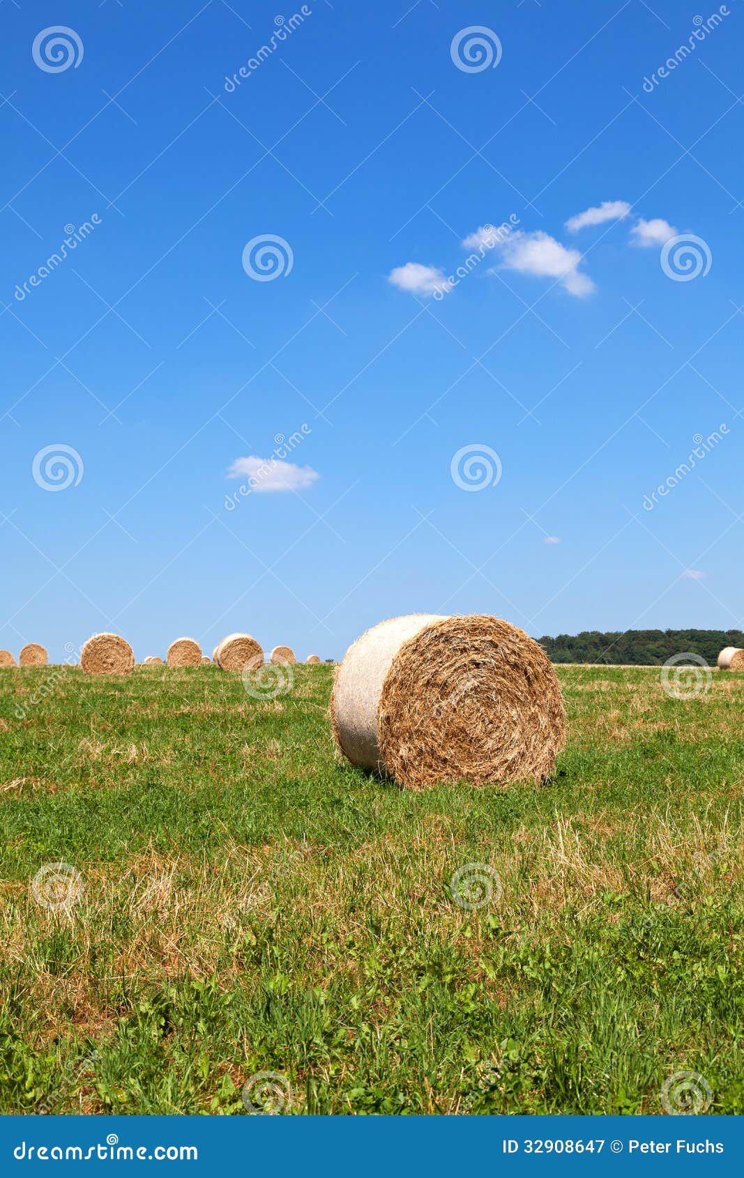 Straw Bales on a field stock image. Image of harvesting 32908647