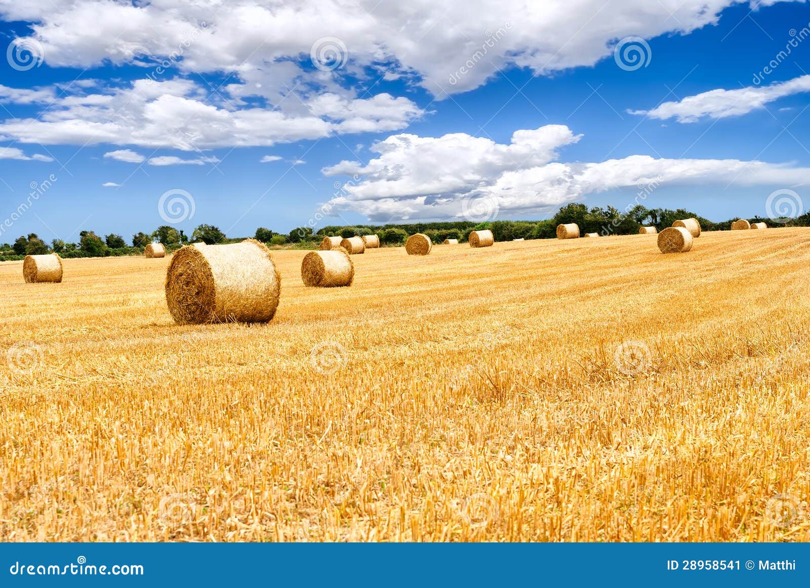 Straw Bales in Irish Countryside Stock Image Image of harvested, grow