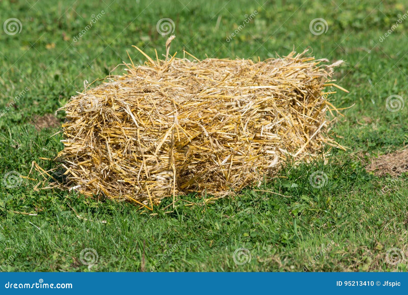 Straw bales in a meadow. stock photo. Image of farming 95213410