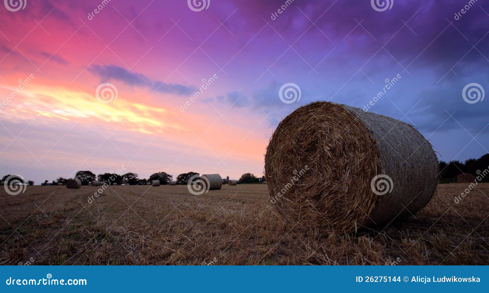 Straw Bales at sunset stock photo. Image of agriculture 26275144