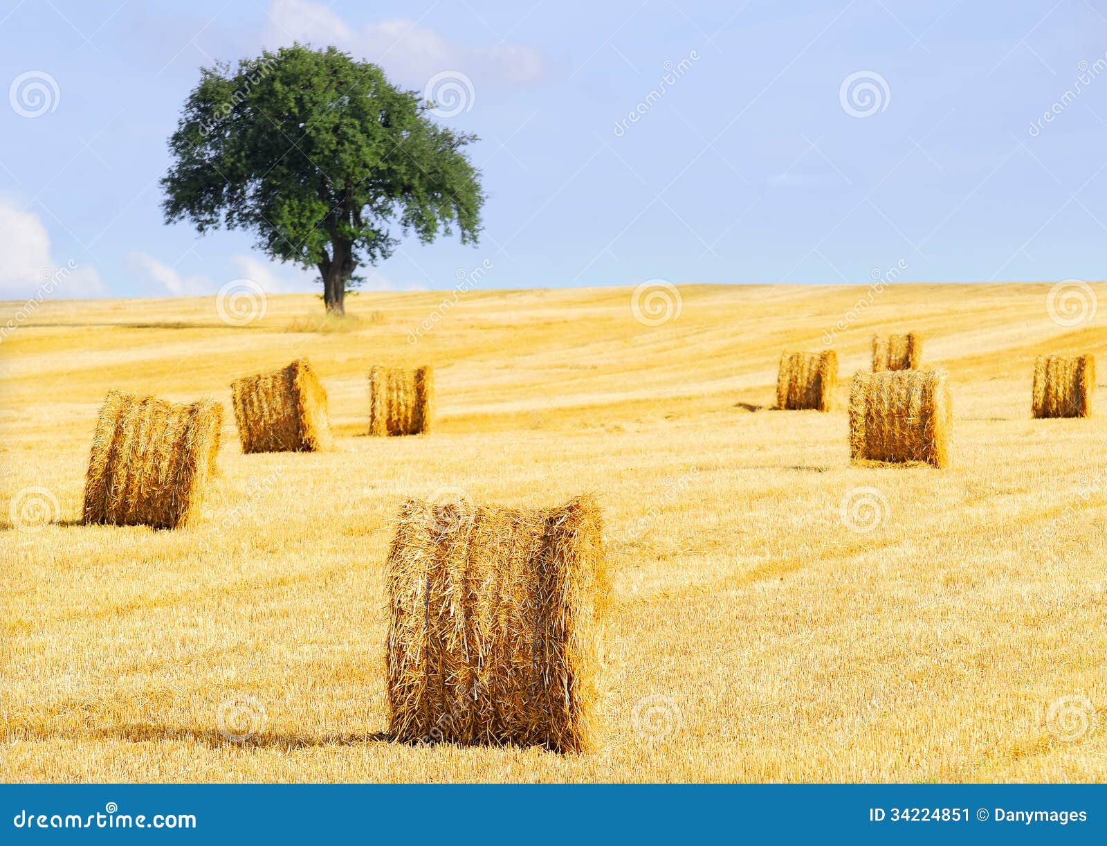 Straw balls stock image. Image of summer, landscape, harvested - 34224851