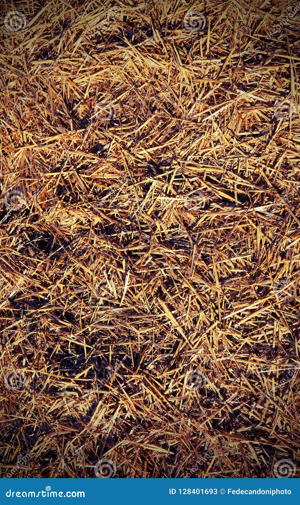 Straw And Barn Hay Stock Image Image Of Background 128401693