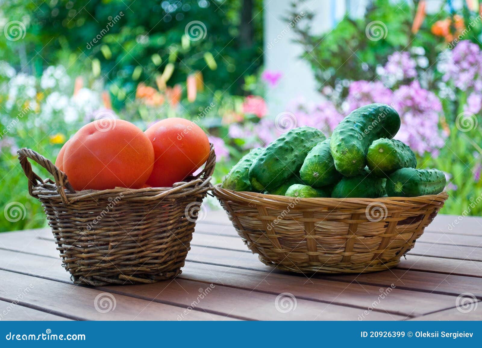 Straw Basket Full of Tomatoes Stock Image Image of copy, picked 20926399