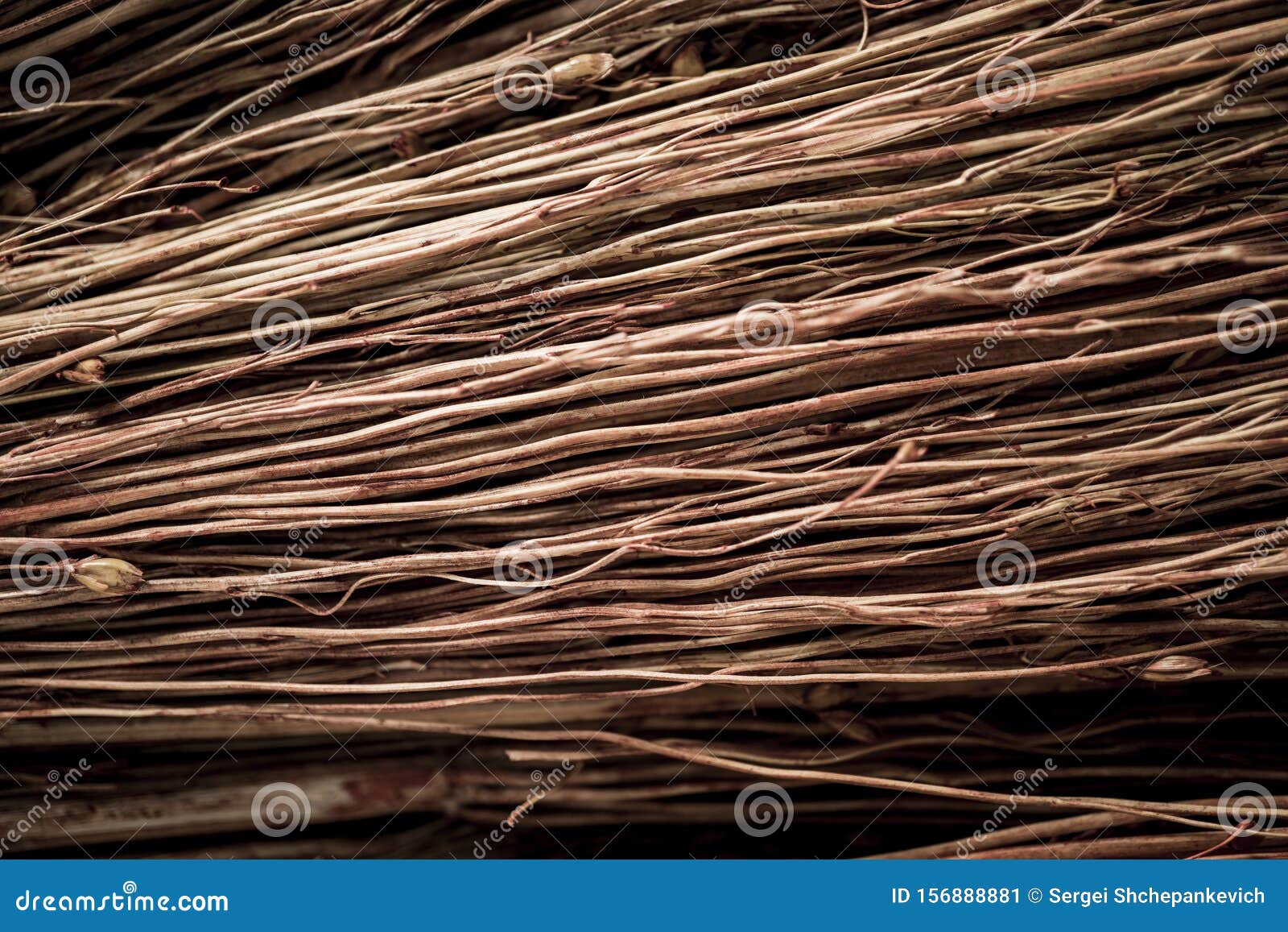 Straw broom texture stock image. Image of close, bunch 156888881
