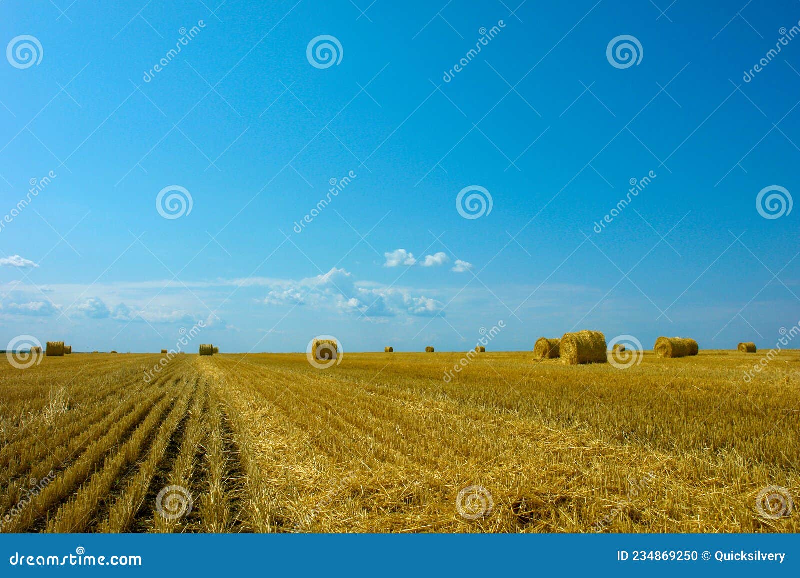 Gold Cylinders Stock Photo 50839302