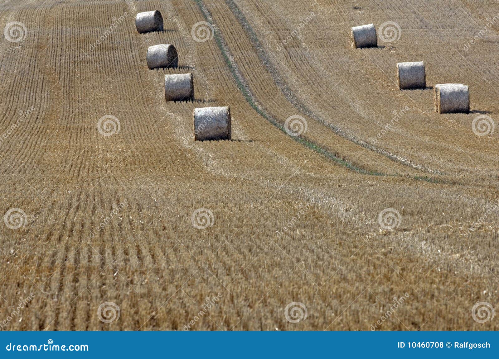 straw on a grainfield