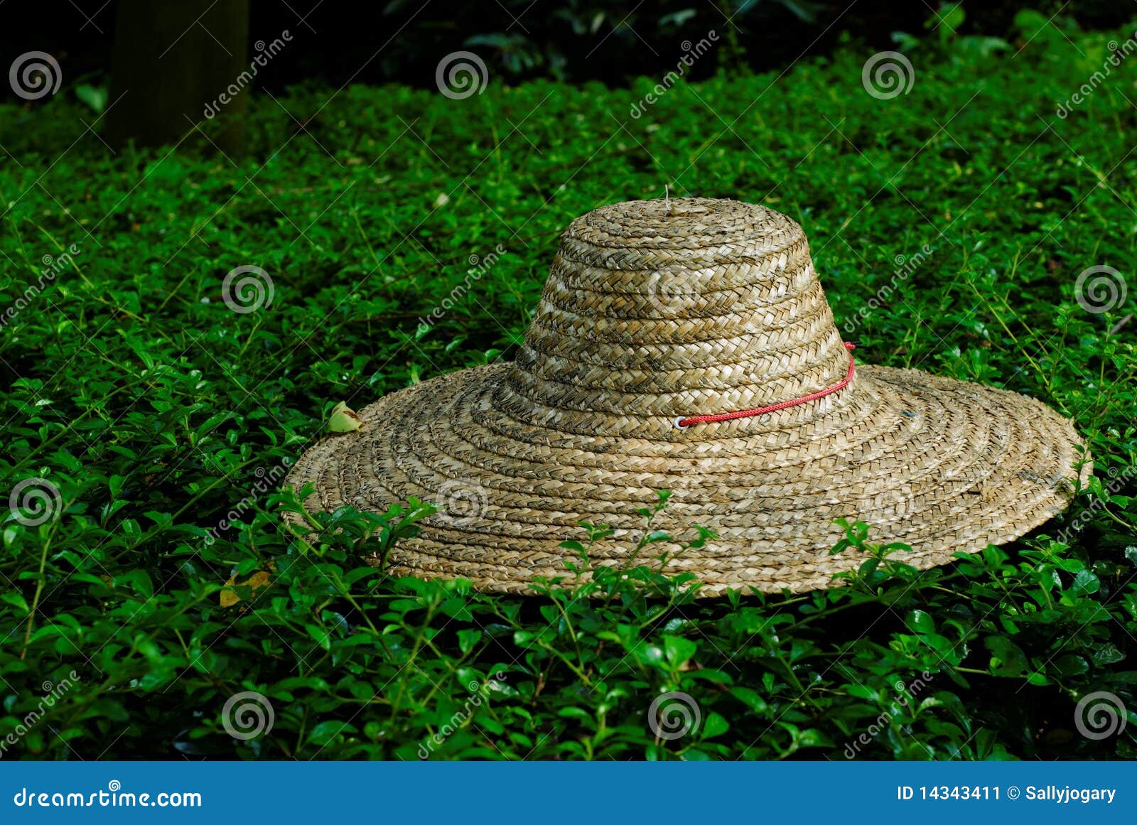 Straw hat stock image. Image of background, folklore 14343411
