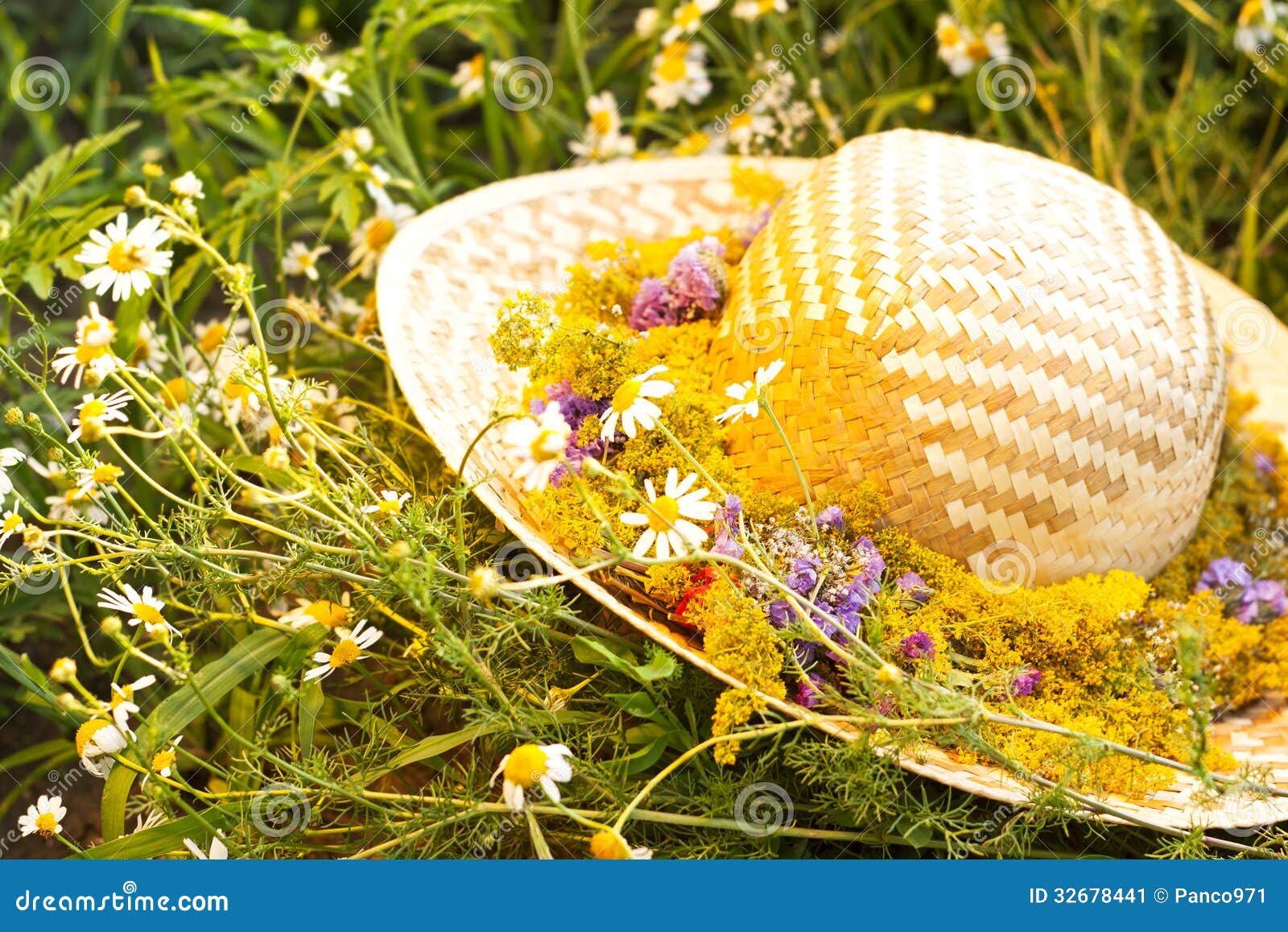 Straw hat with flowers stock image. Image of flower, wildflower 32678441
