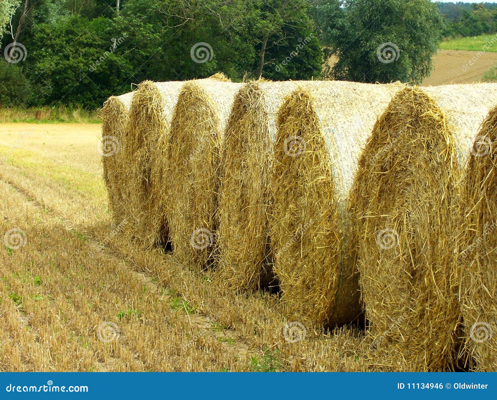 Straw Hay bales stock photo. Image of rural, yellow, harvest 11134946