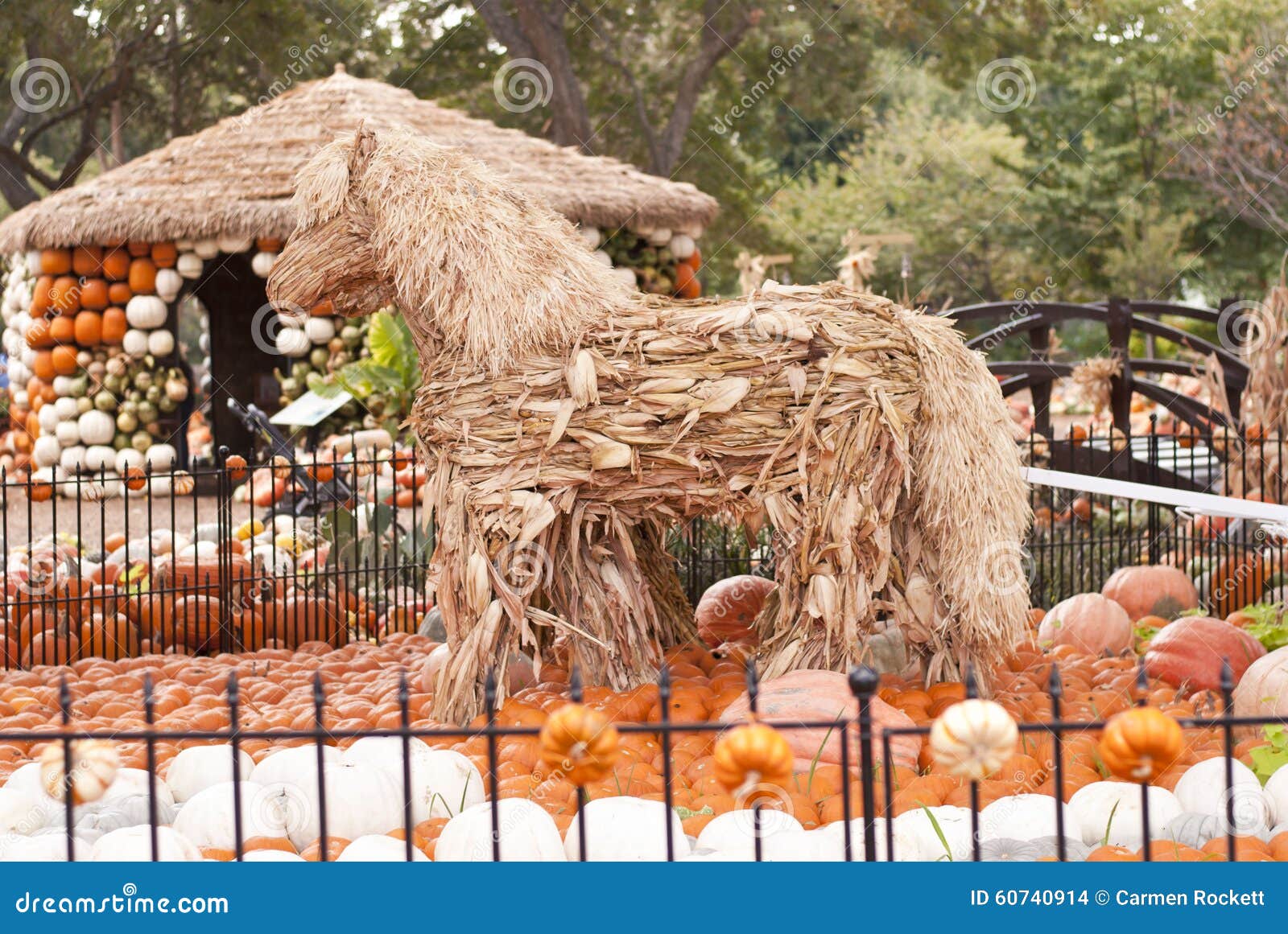 Straw Horses Con La Capanna Della Zucca Fotografia Stock Immagine di
