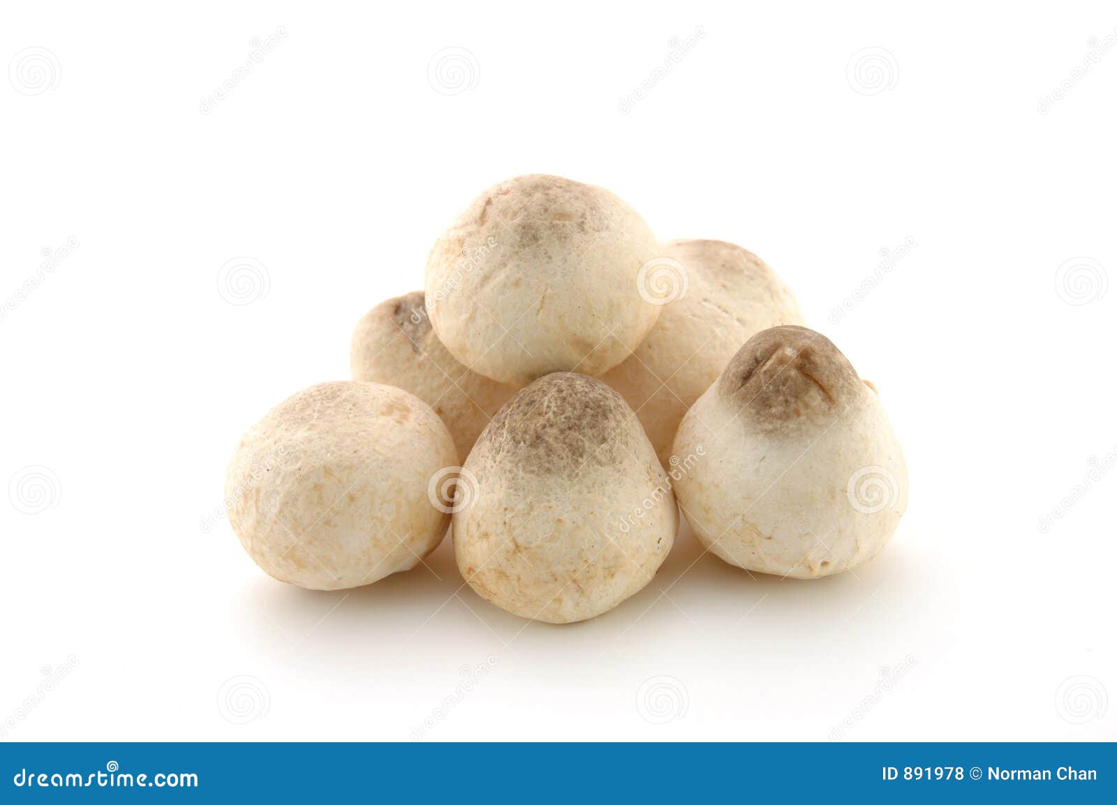 Straw mushrooms stock photo. Image of healthy, isolated 891978