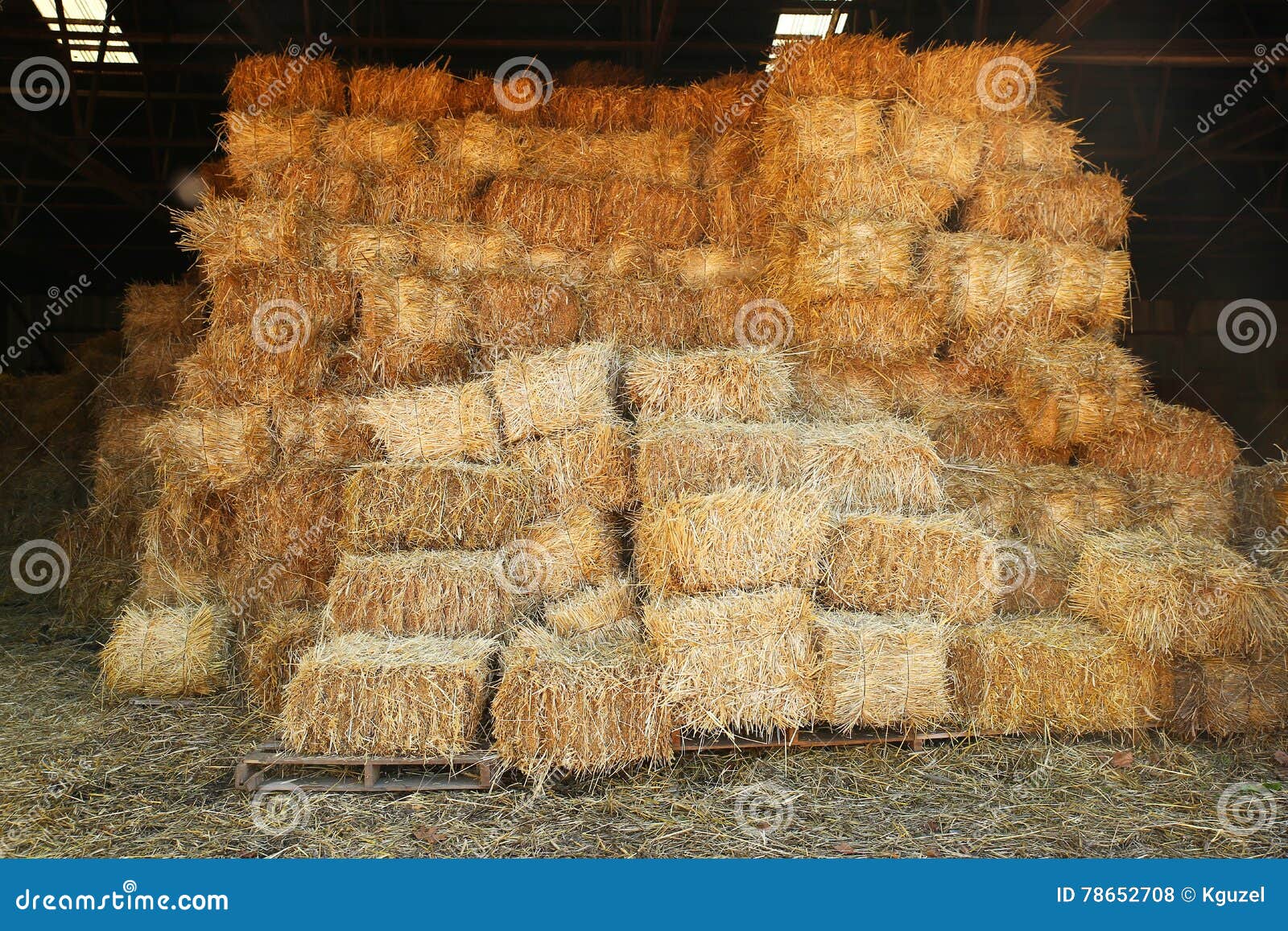 Straw stacks in barn stock photo. Image of agriculture 78652708