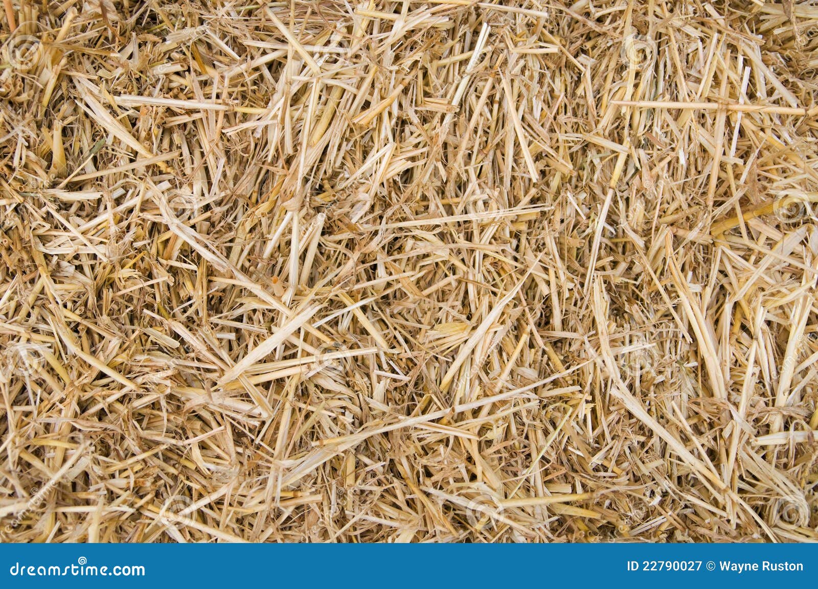 straw texture