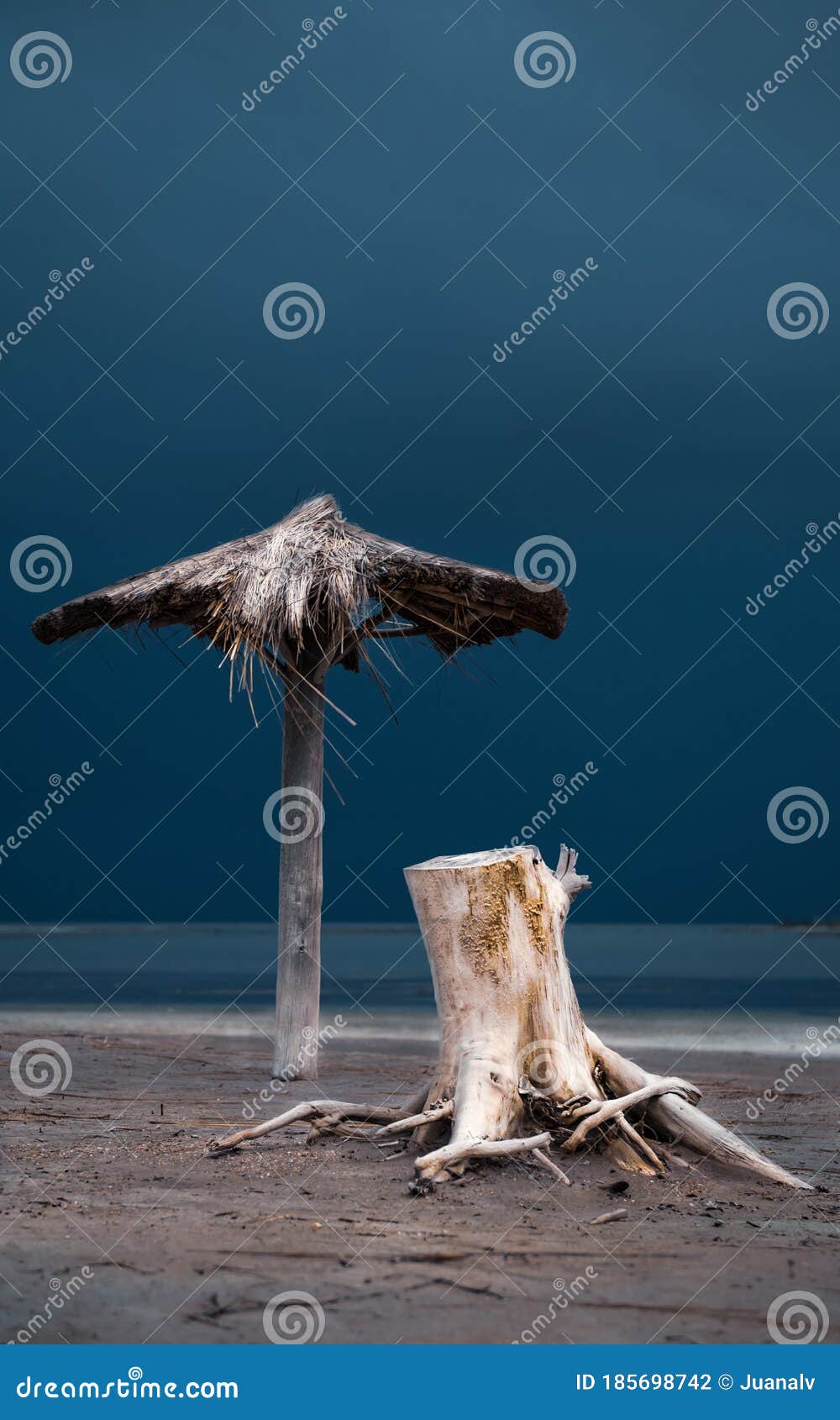 straw umbrella and dead tree