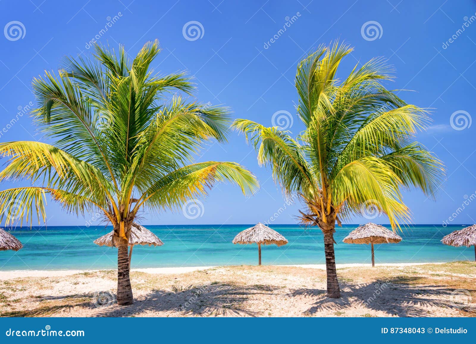 Straw Umbrellas and Palm Trees on a Tropical Beach Stock Image Image