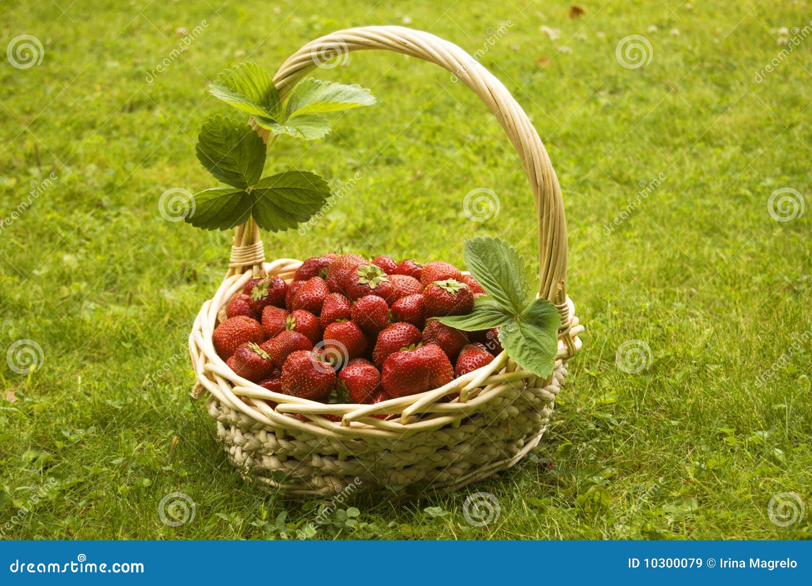 Strawberries in basket stock image. Image of edible, organic 10300079