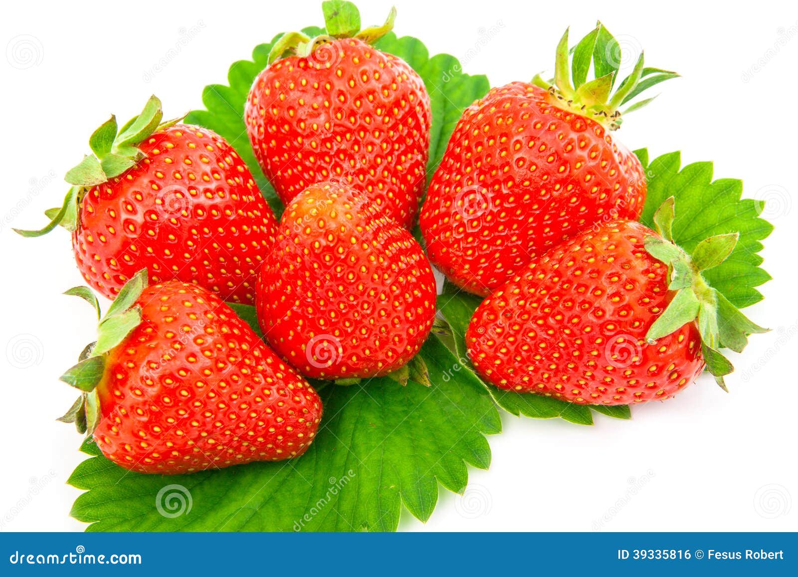 Strawberries berry stock photo. Image of isolated, beautiful 39335816