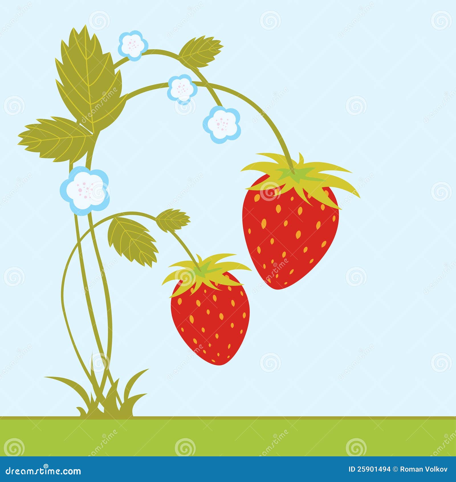 Strawberries with blossom stock vector. Illustration of dessert 25901494