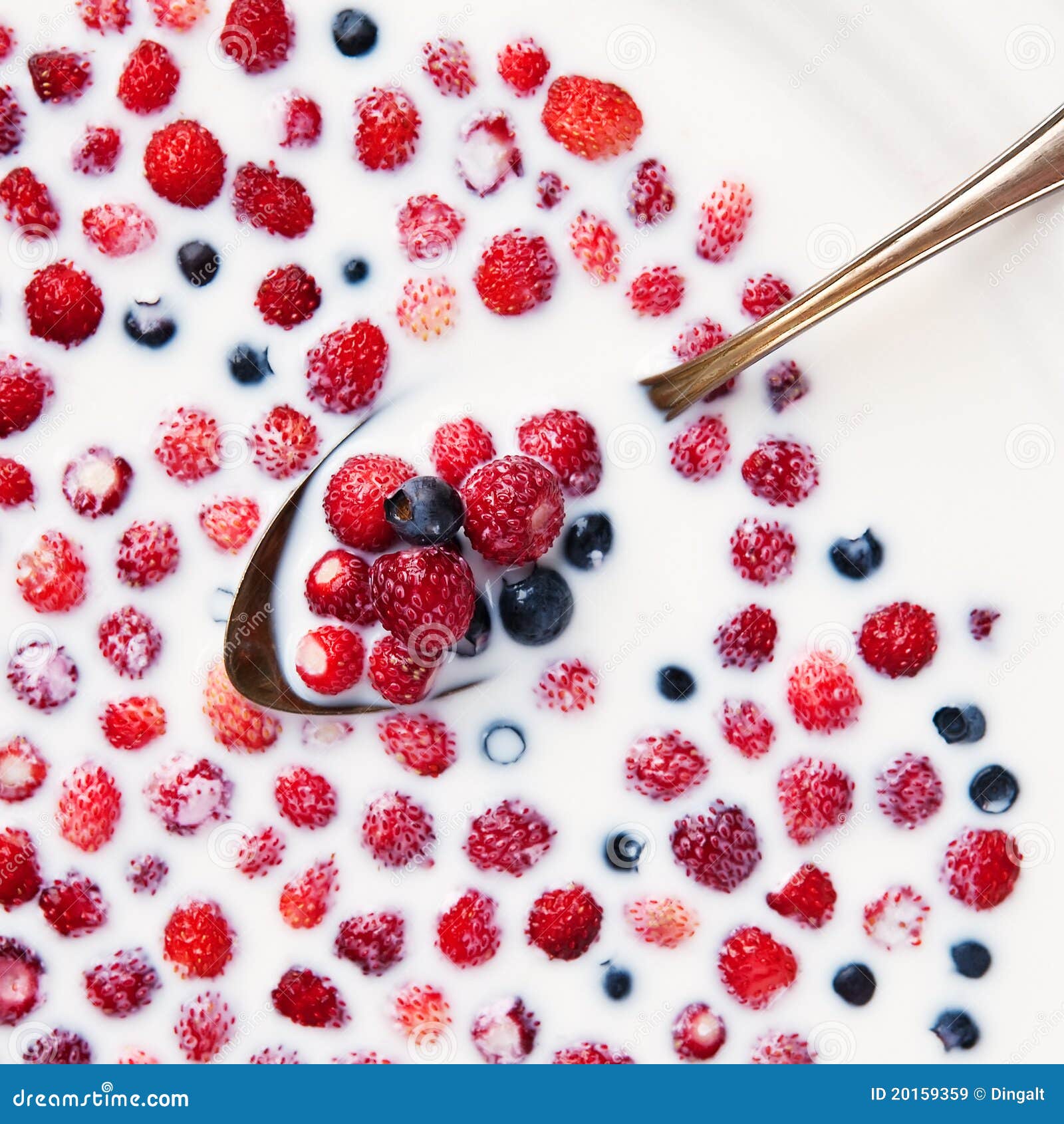 Strawberries and Blueberries in Milk Stock Image Image of bowl, color