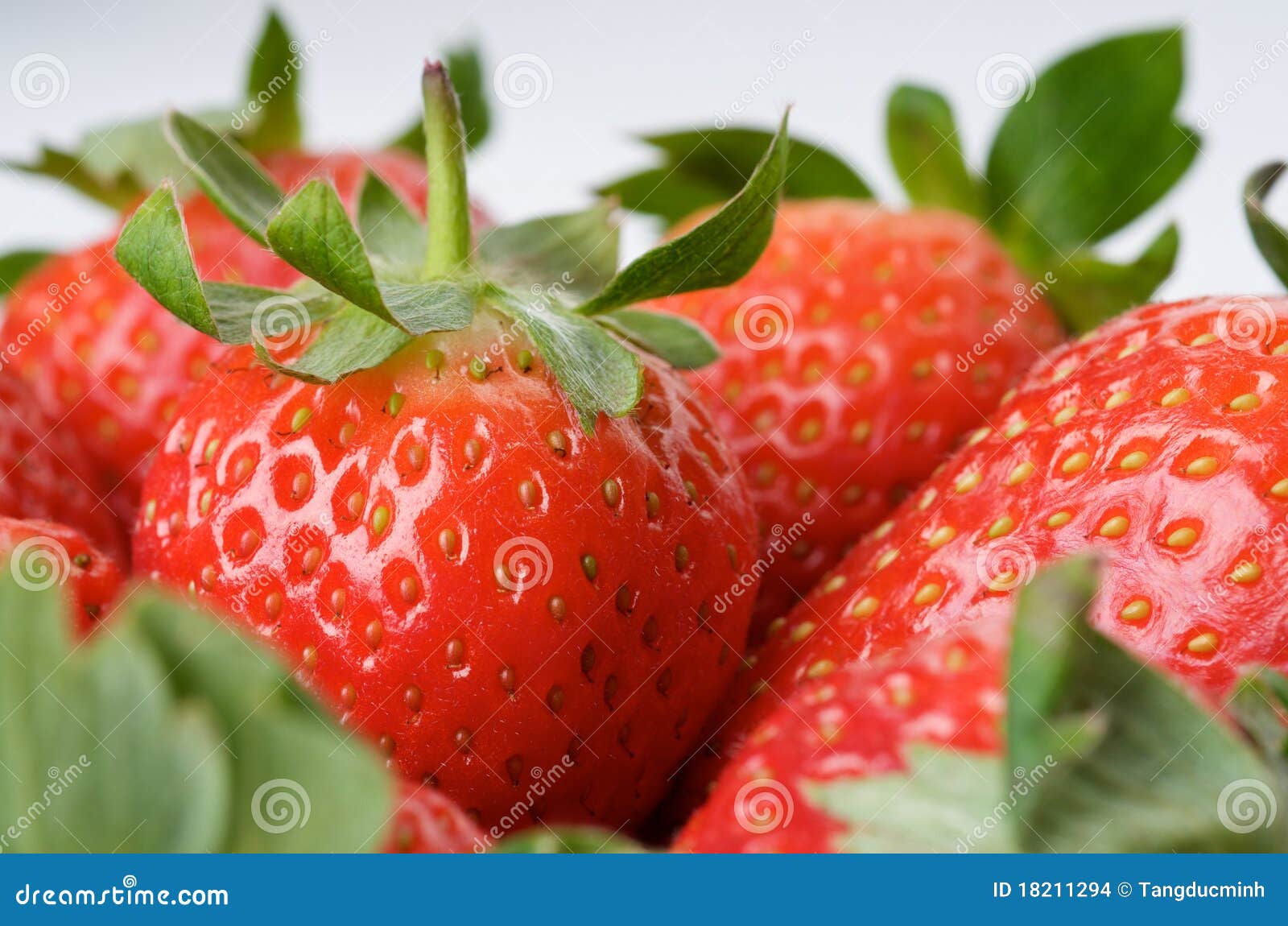 Strawberries close up stock photo. Image of texture, temptation 18211294