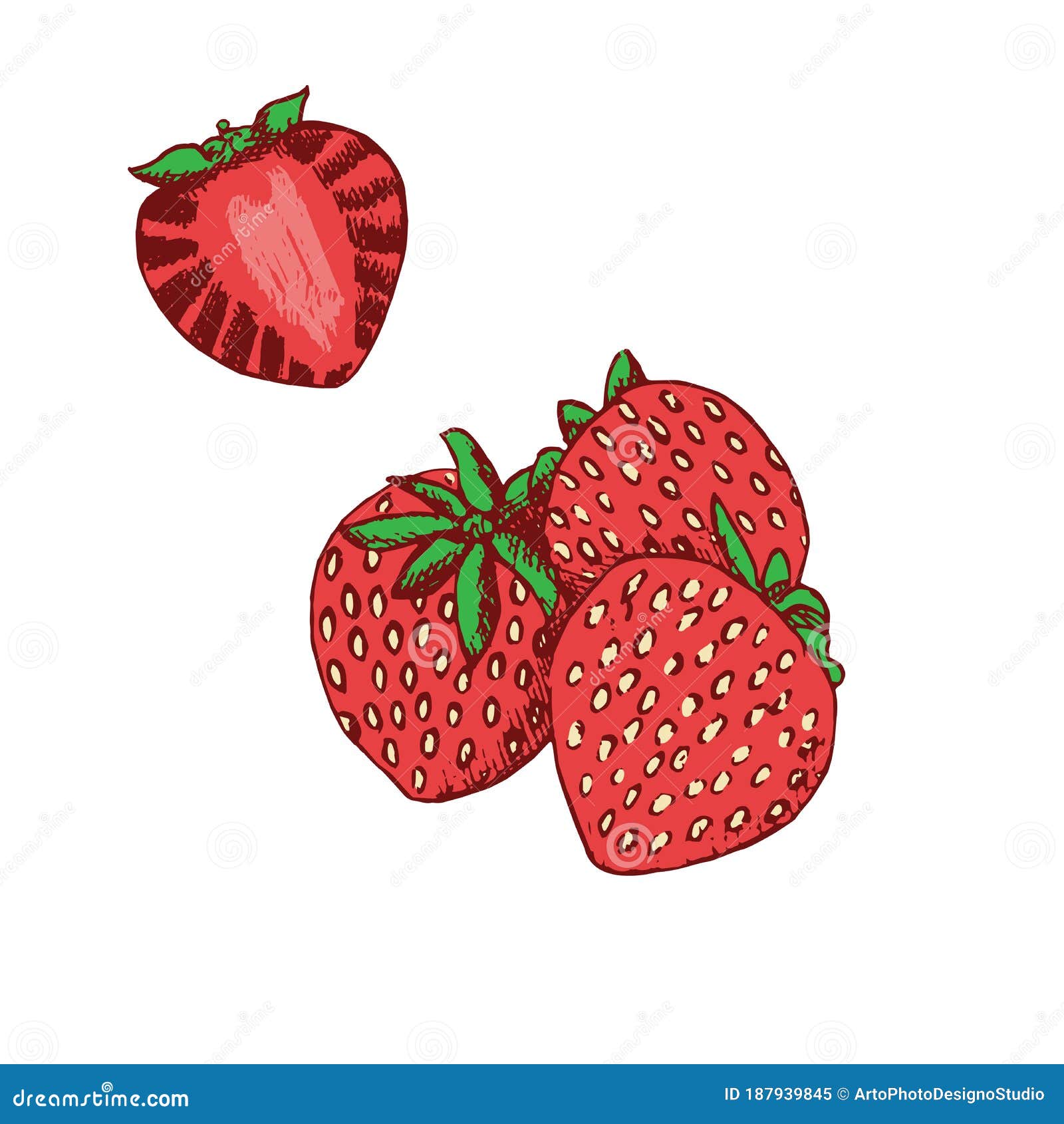 Strawberries and Cut Slice, Hand Drawn Doodle, Sketch, Vector Stock ...