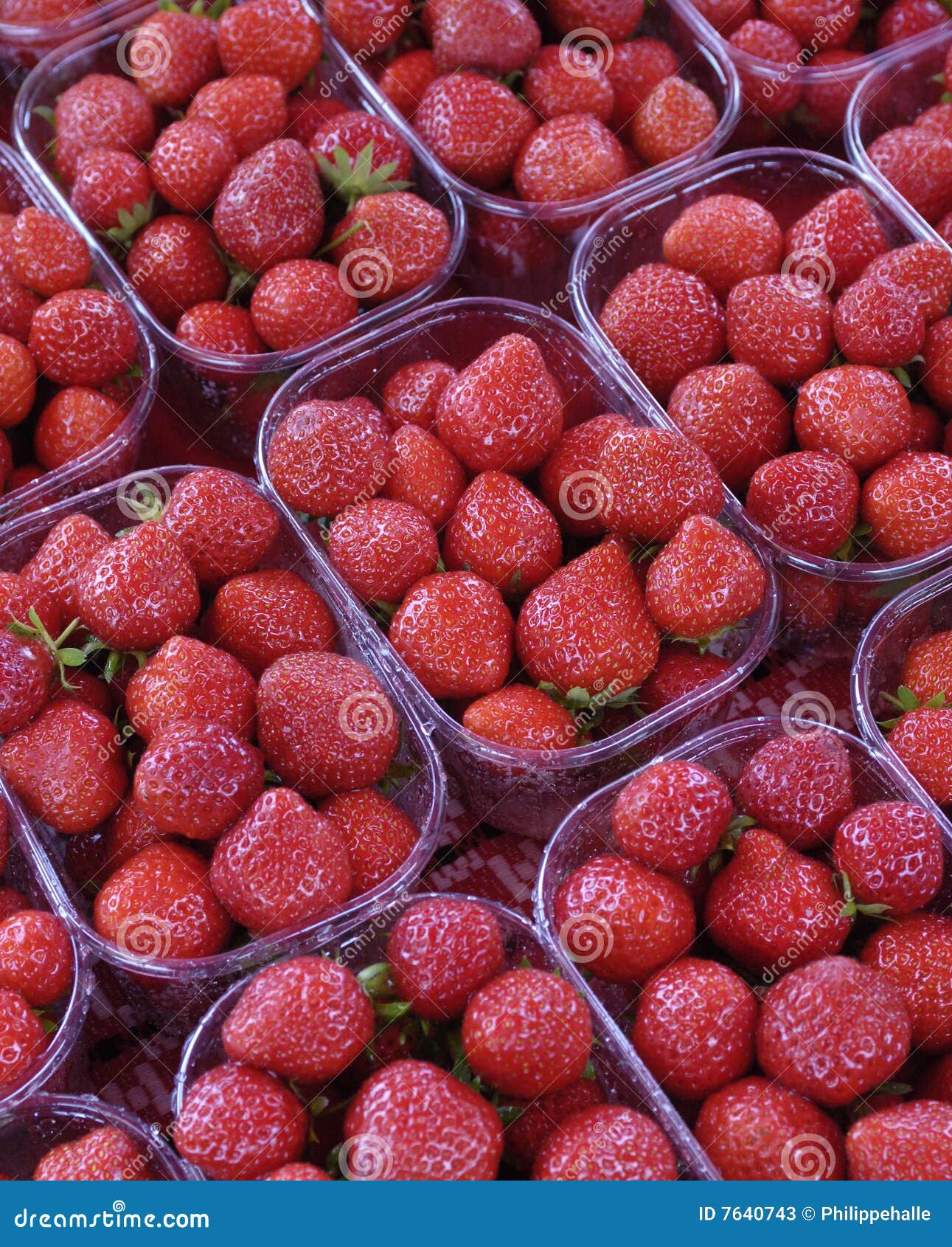 Strawberries at the market stock image. Image of fruit 7640743