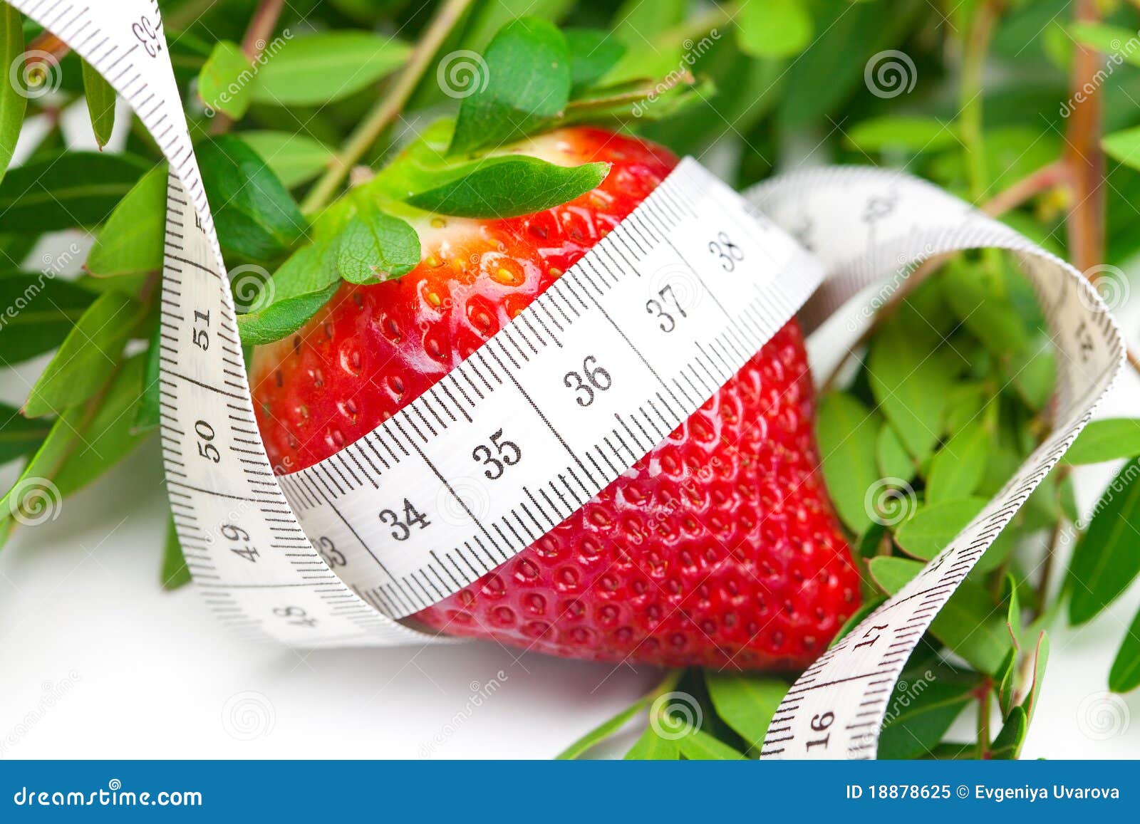 Летом легче похудеть за месяц