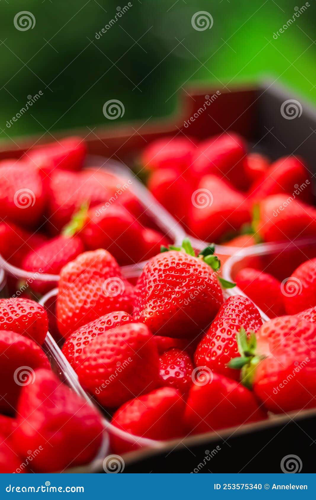 Strawberries Packaged in Box, Sweet Ripe Perfect Strawberry Harvest ...