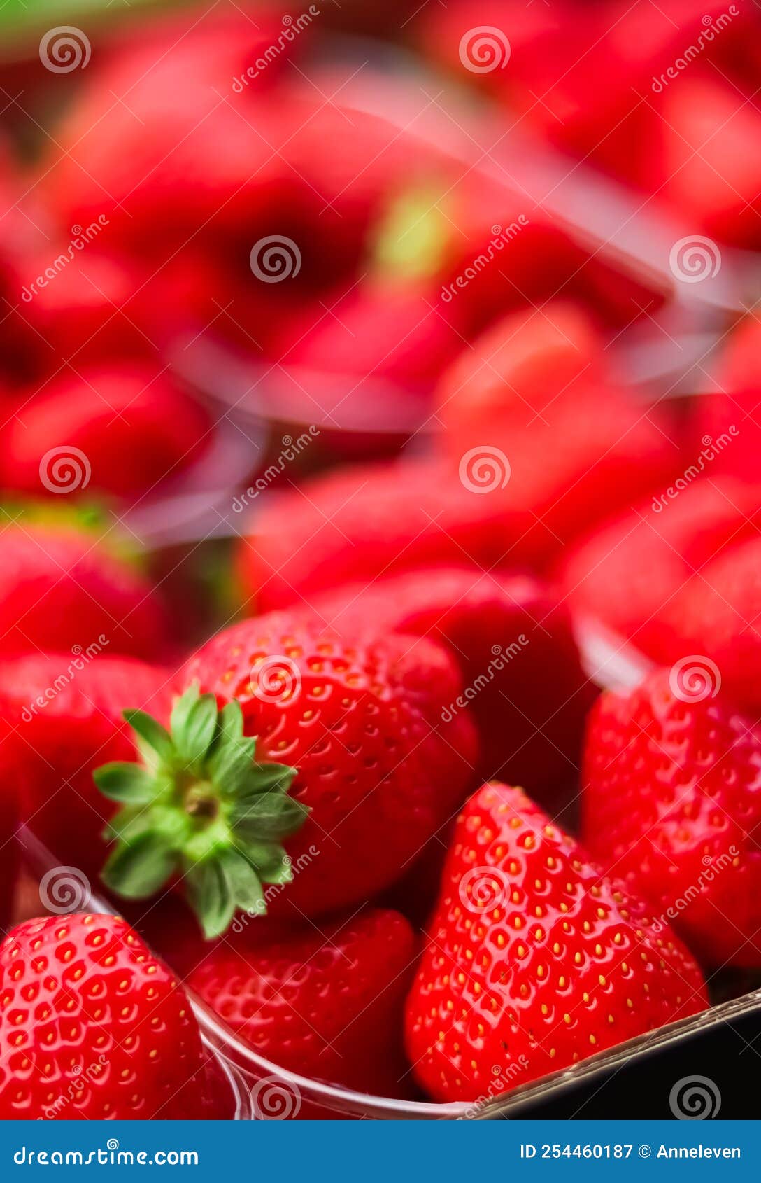 Strawberries Packaged in Box, Sweet Ripe Perfect Strawberry Harvest ...