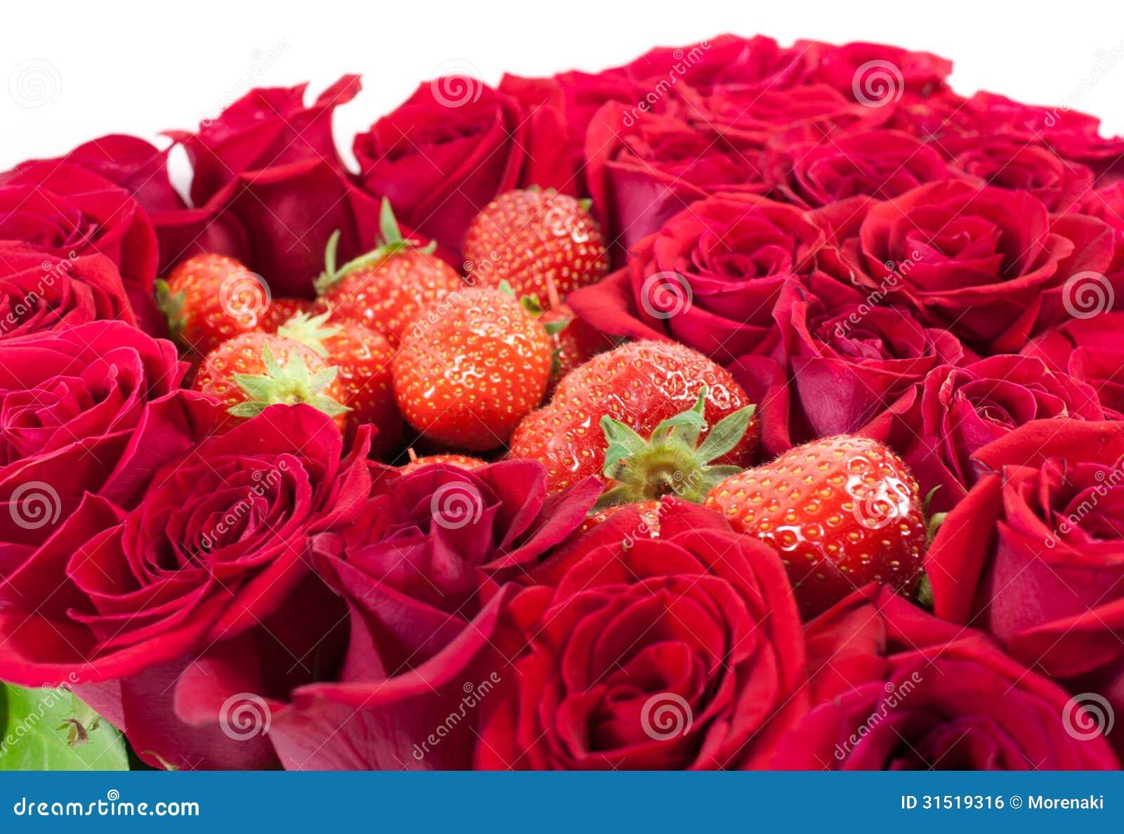 Strawberries in the roses stock photo. Image of passion 31519316