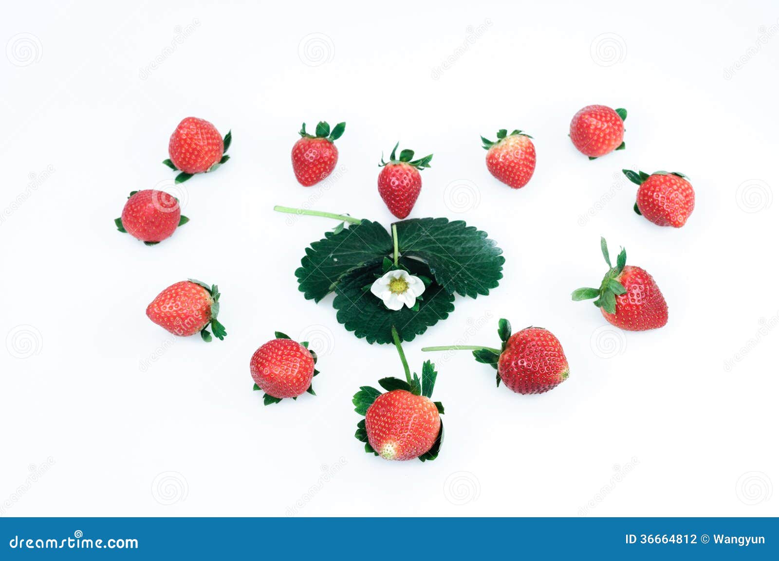 strawberries on a white background