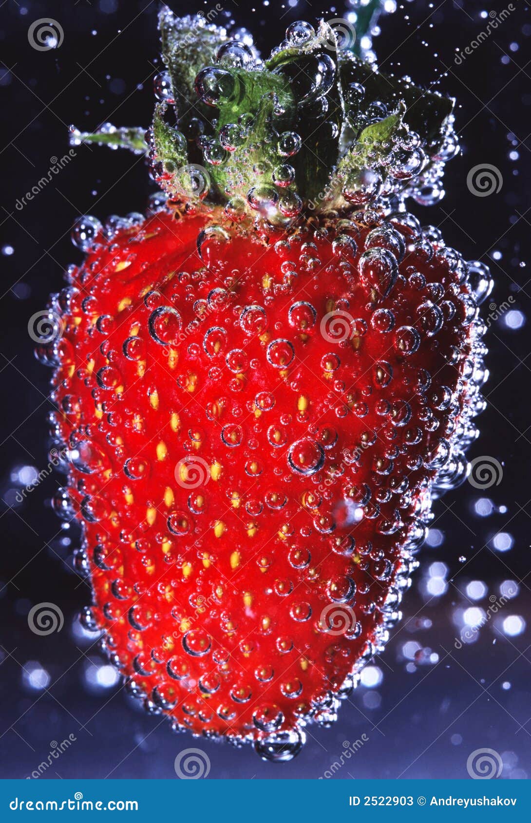 Strawberry with Air Bubbles Stock Image Image of leaf, botanical 2522903