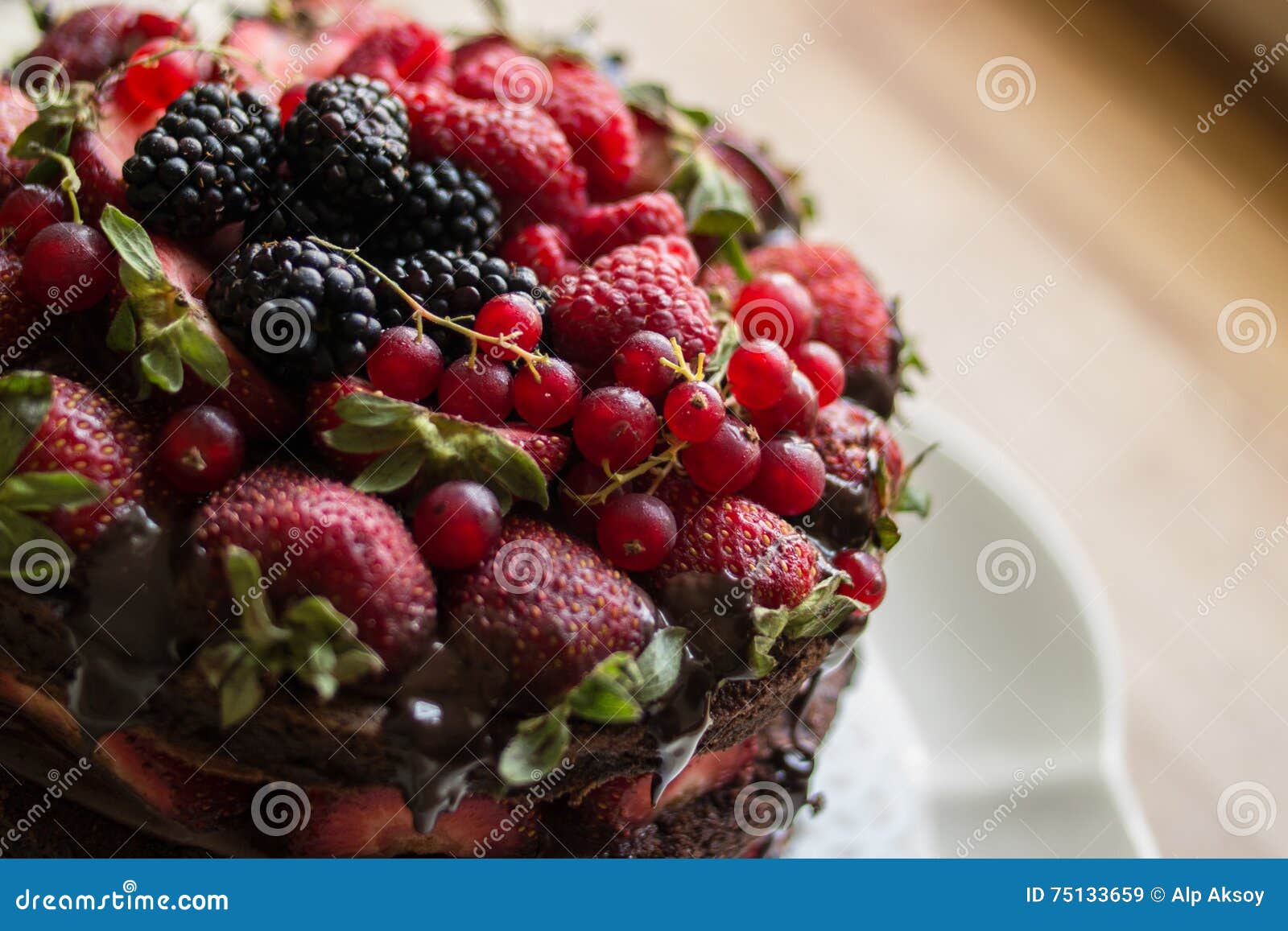Strawberry Cake with Blackberry, Mulberry and Dark Chocolate Stock