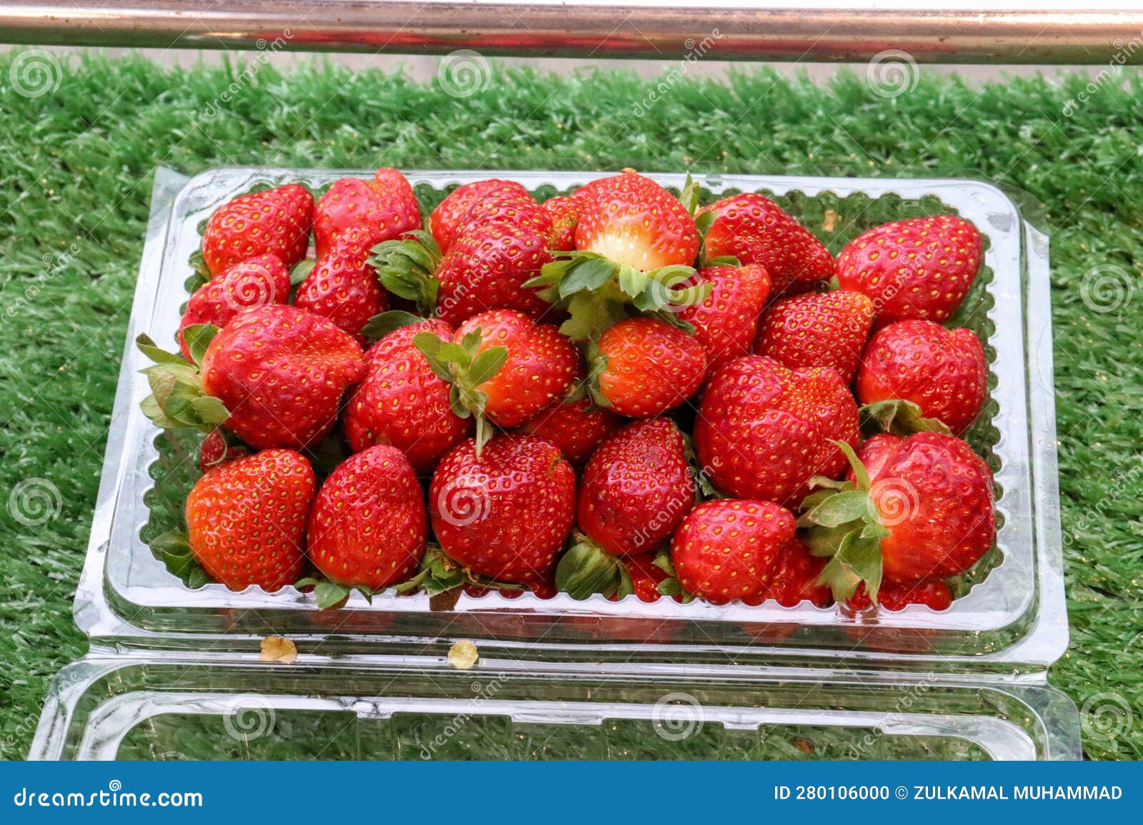 Strawberry from Cameron Highland Stock Photo Image of farm