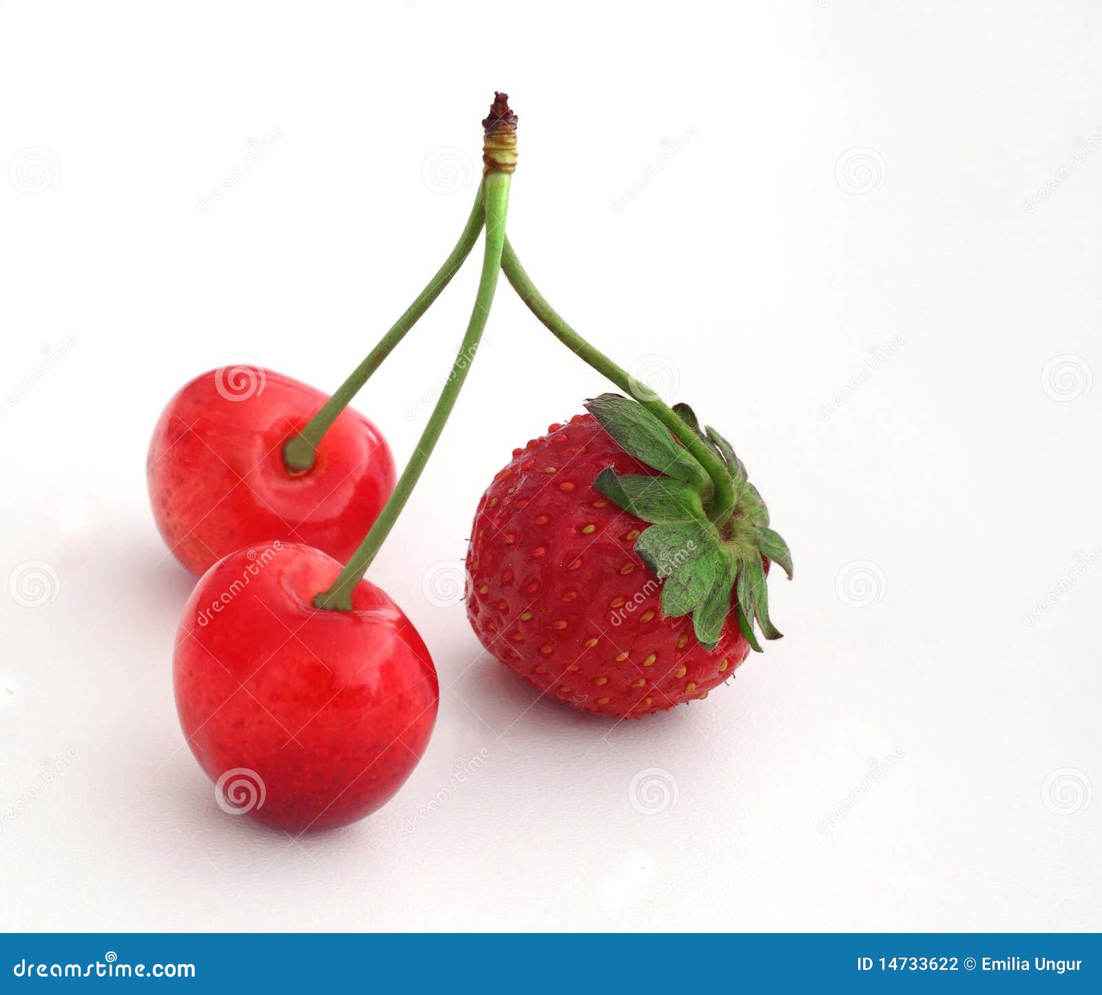 Strawberry with cherries stock photo. Image of 14733622