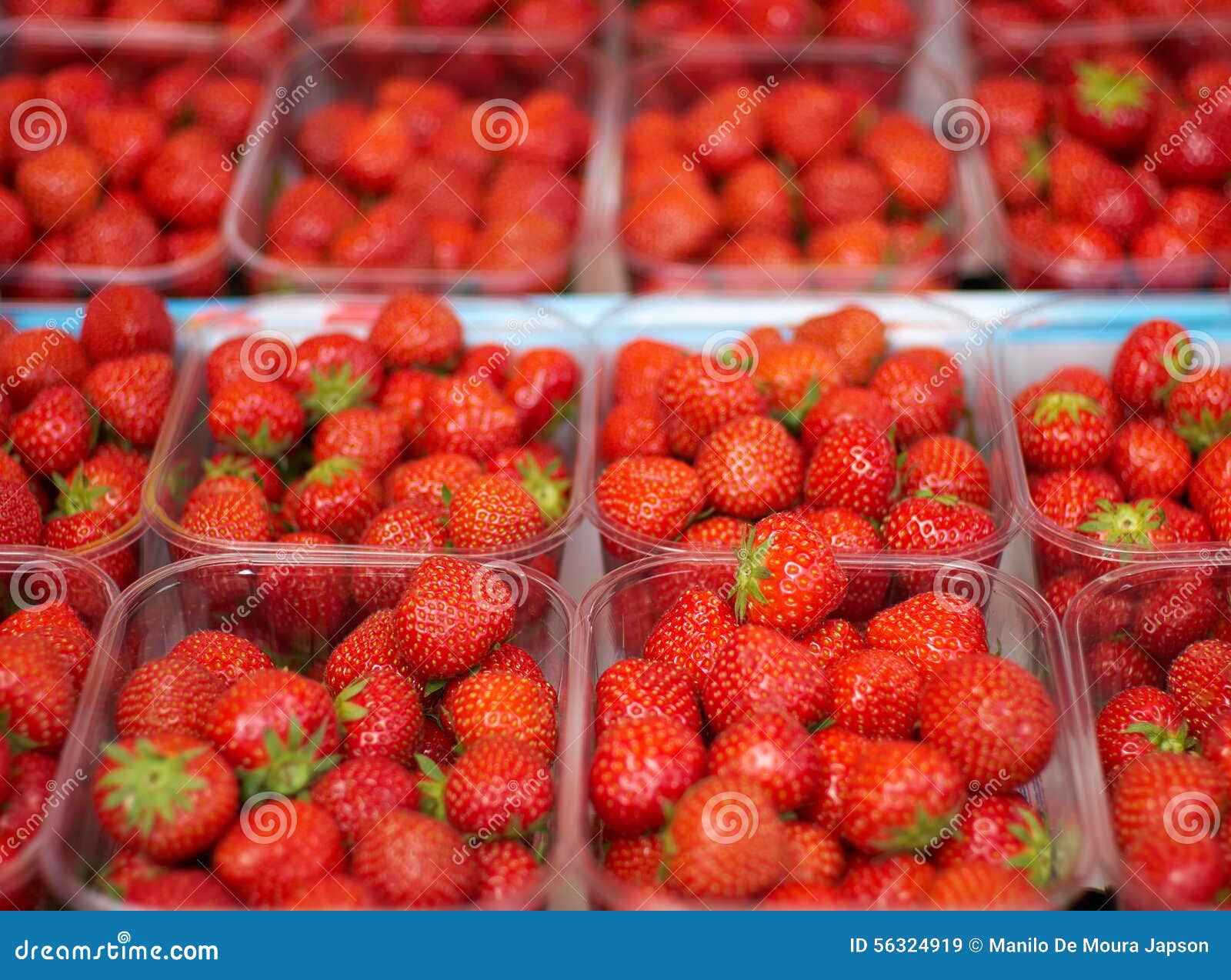 Strawberry Containers stock image. Image of climate, strawberries