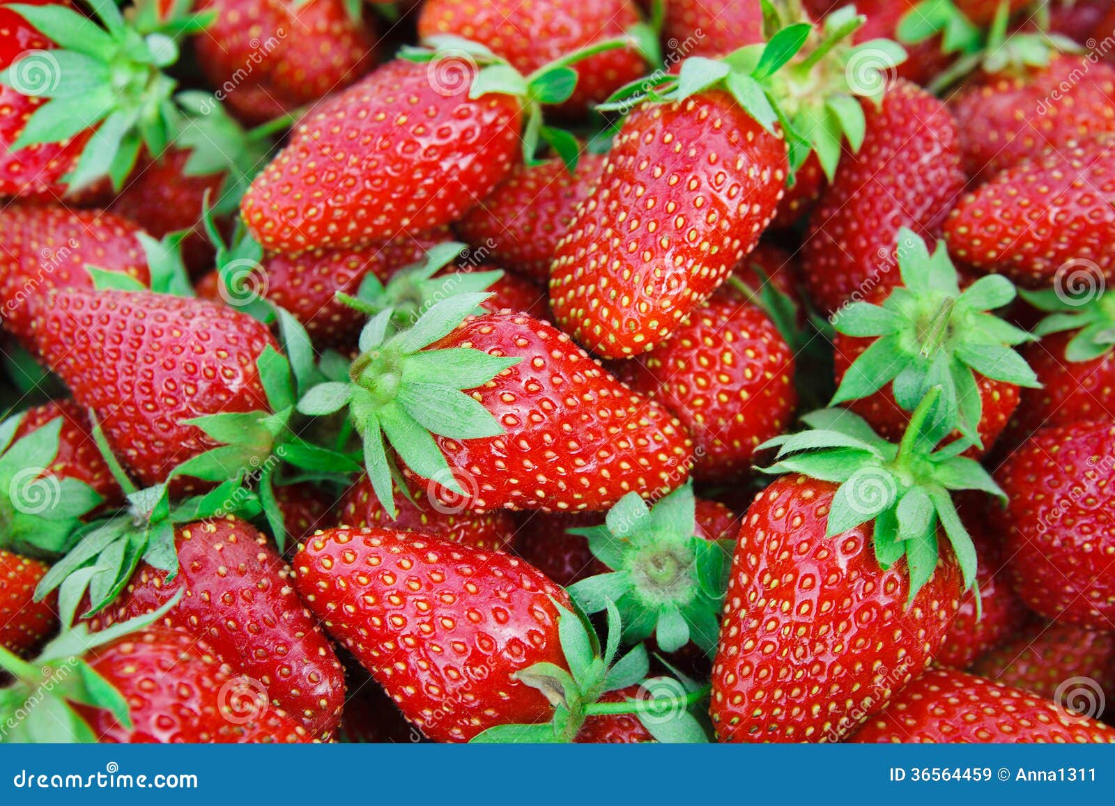 Strawberry. Fruit Background Stock Image Image of strawberries, plant