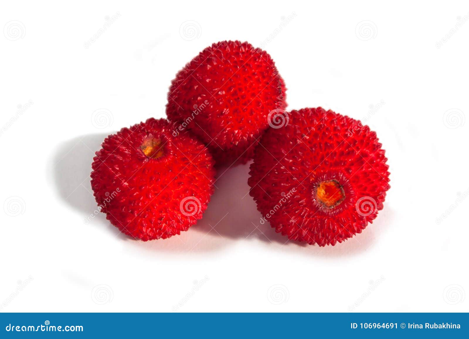 strawberry fruit or madrono from the arbutus unedo also called strawberry tree, apple of cain, or cane apple native to mediterrane