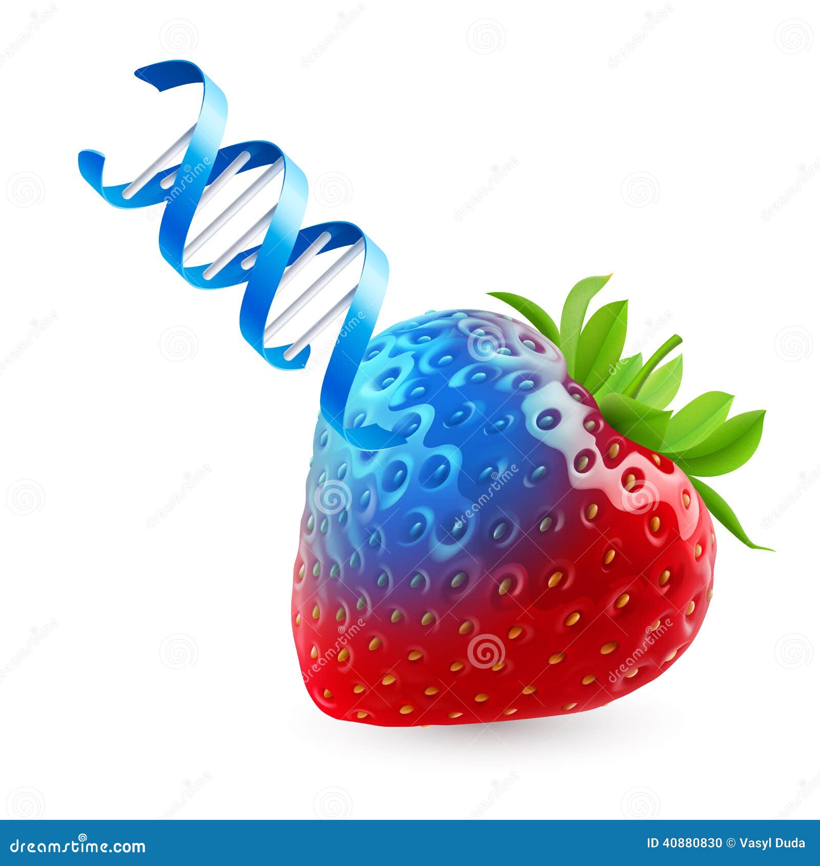 Strawberry with GMO stock vector. Illustration of chemistry 40880830