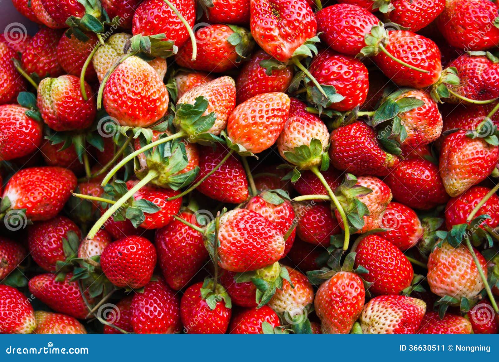 Strawberry stock image. Image of seamless, beautiful 36630511
