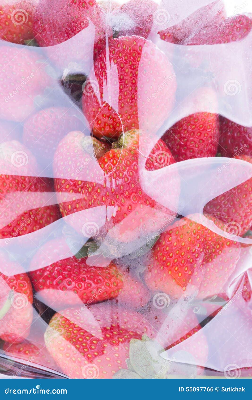 Strawberry Juicy Fruit in Plastic Bag Stock Photo Image of fresh