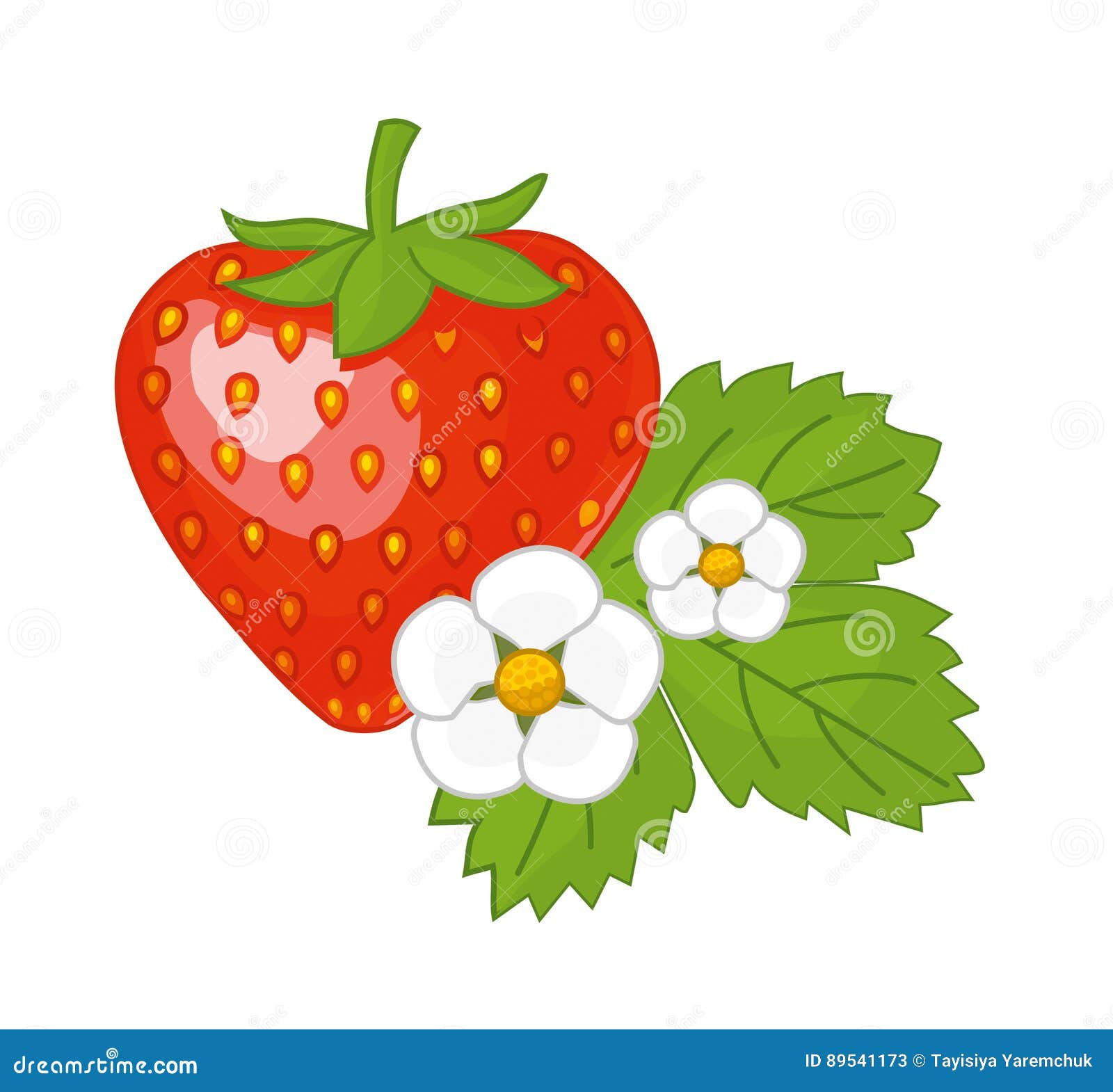 Strawberry with Leaves and Flowers. Stock Illustration Illustration