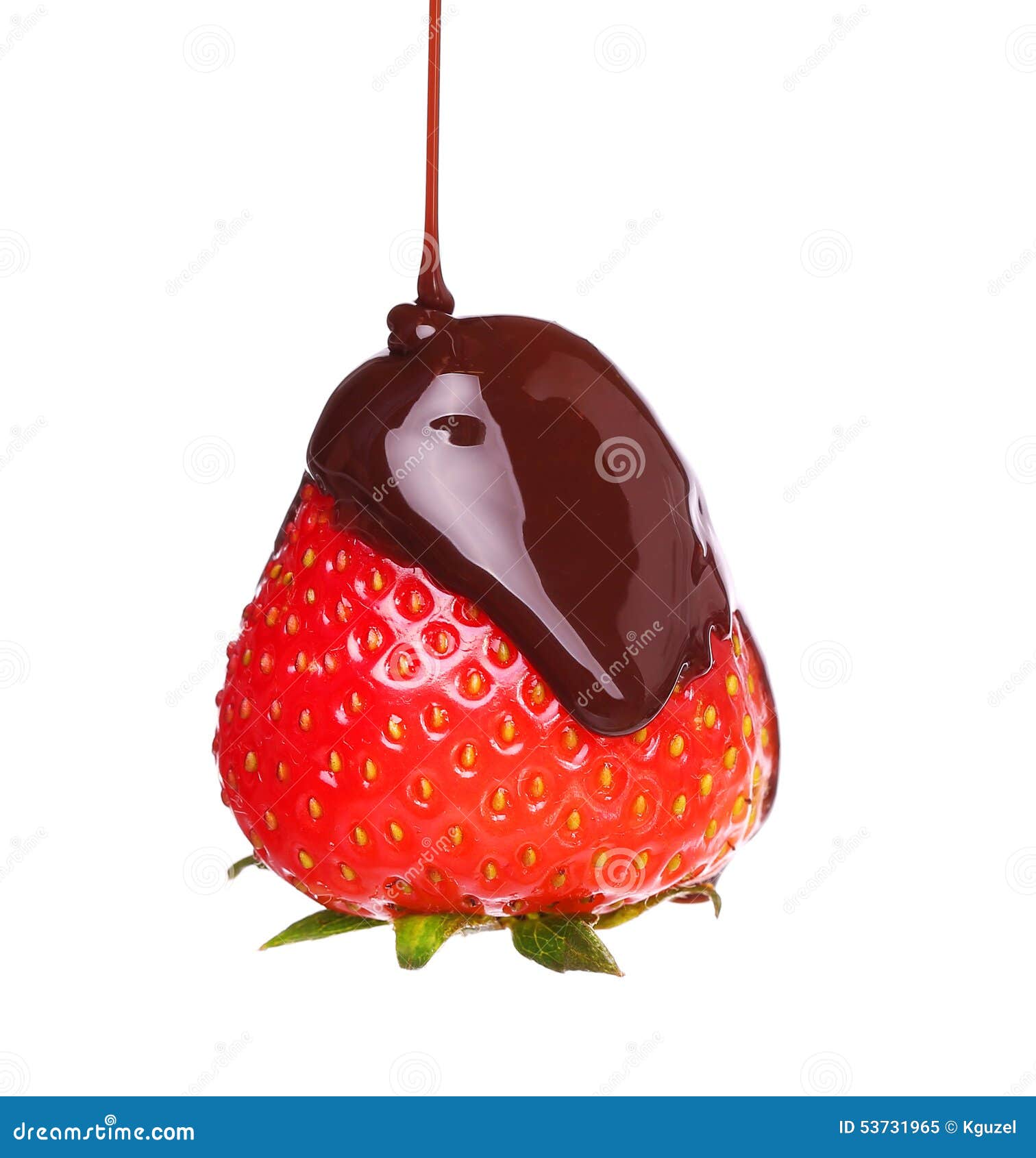 Strawberry in Melted Chocolate Stock Image Image of berry, fresh