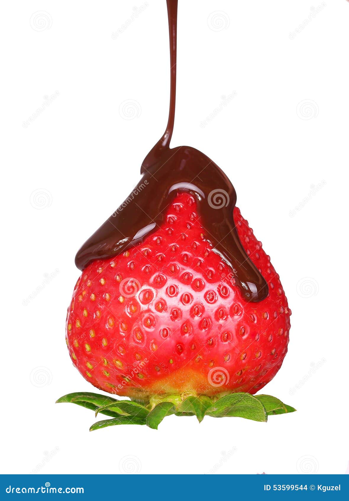 Strawberry in Melted Chocolate Isolated Stock Photo Image of