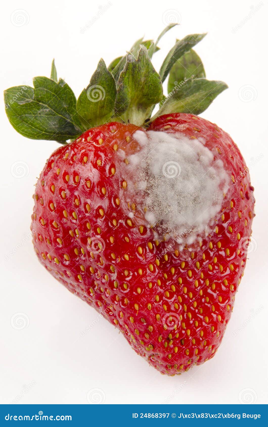 Strawberry with mold stock image. Image of natural, dessert